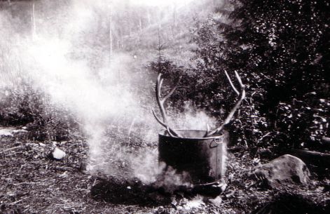 szarvas_agancs_fozes.jpg